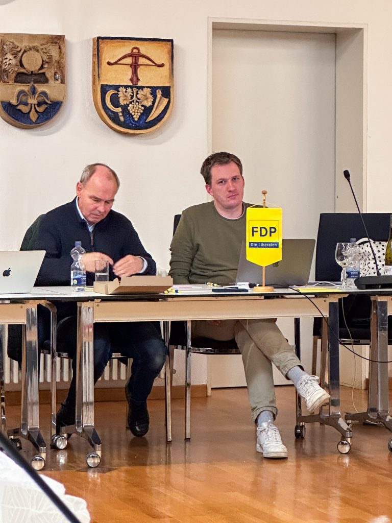 Männer bei FDP-Meeting im Sitzungssaal.